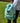 Curious Berries kids backpack